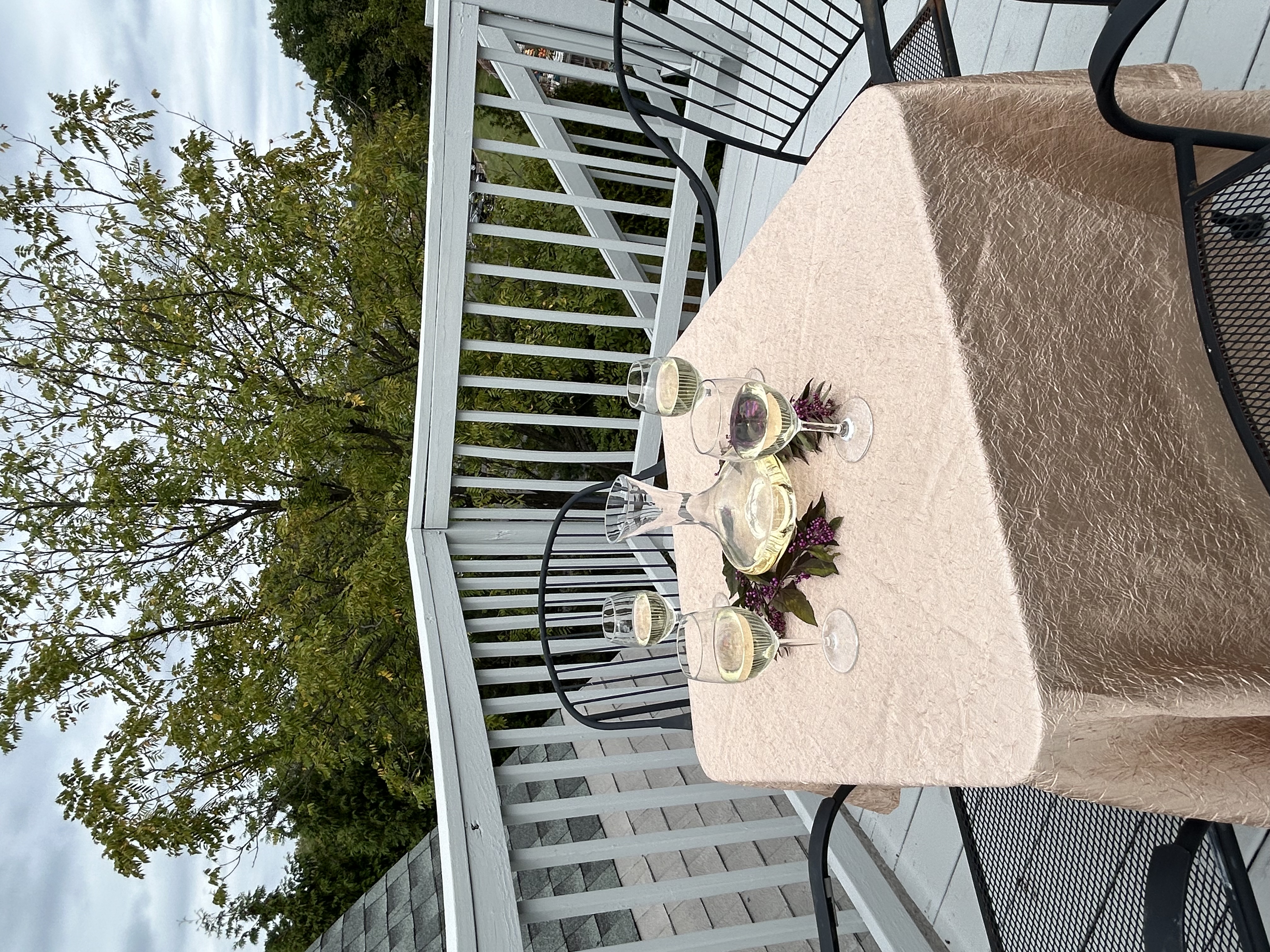 Roof top deck table with white wine and glasses overlooking green foliage