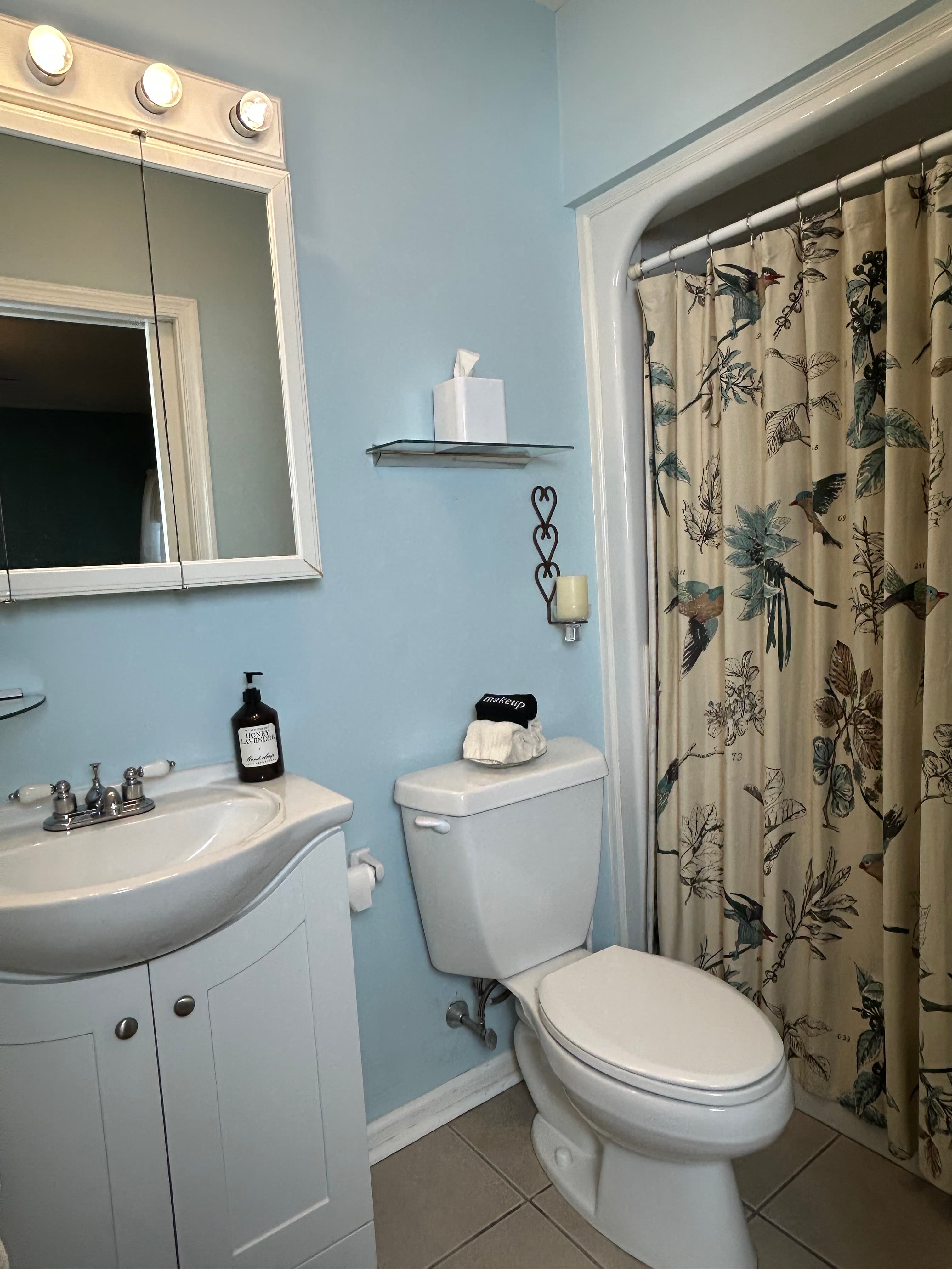 View of bathroom with beautiful bird pattern shower curtain on walk in shower
