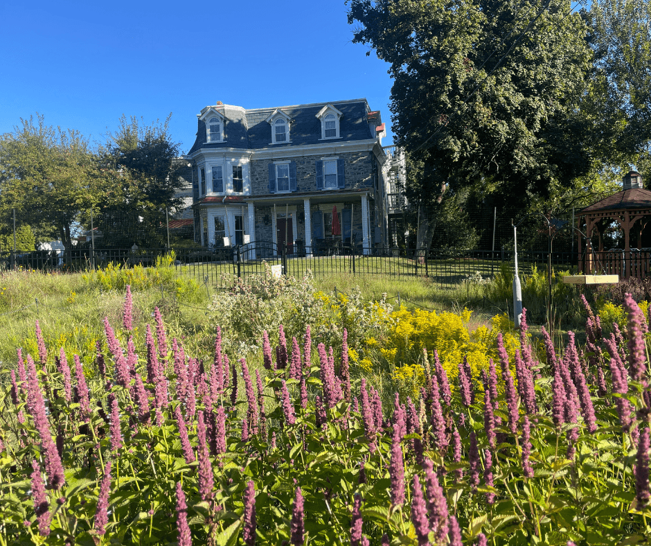 Victorian-style house surrounded by vibrant flowers and greenery under a clear blue sky.