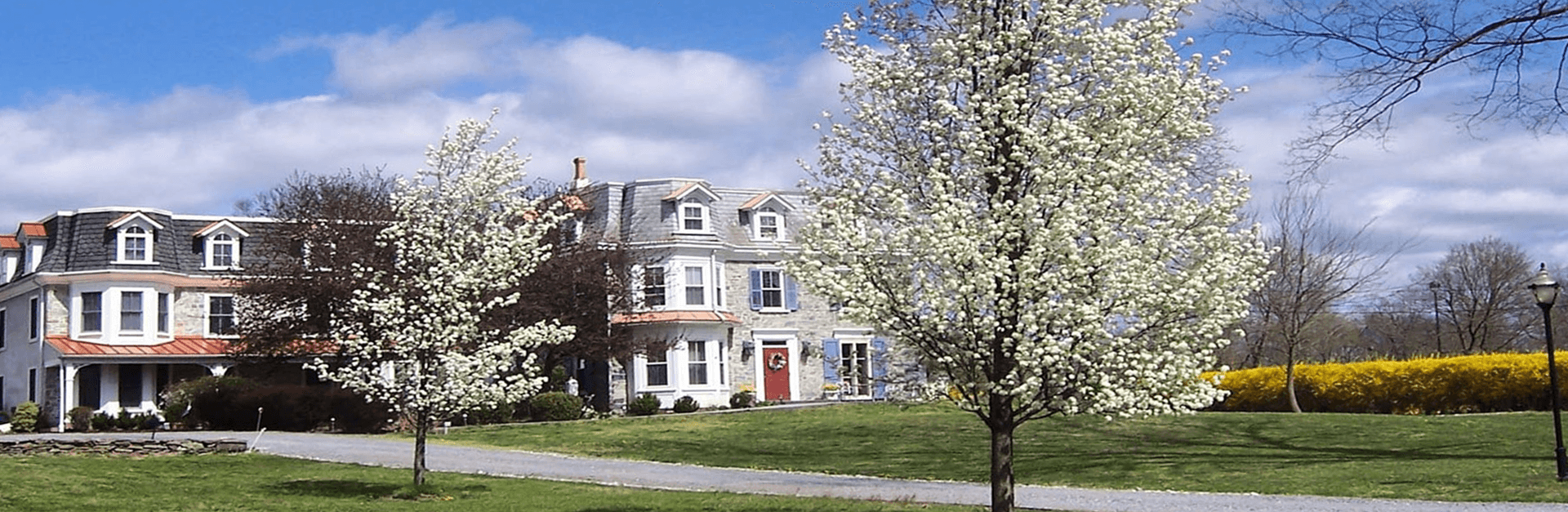 A charming house surrounded by blooming trees and green grass under a blue sky.