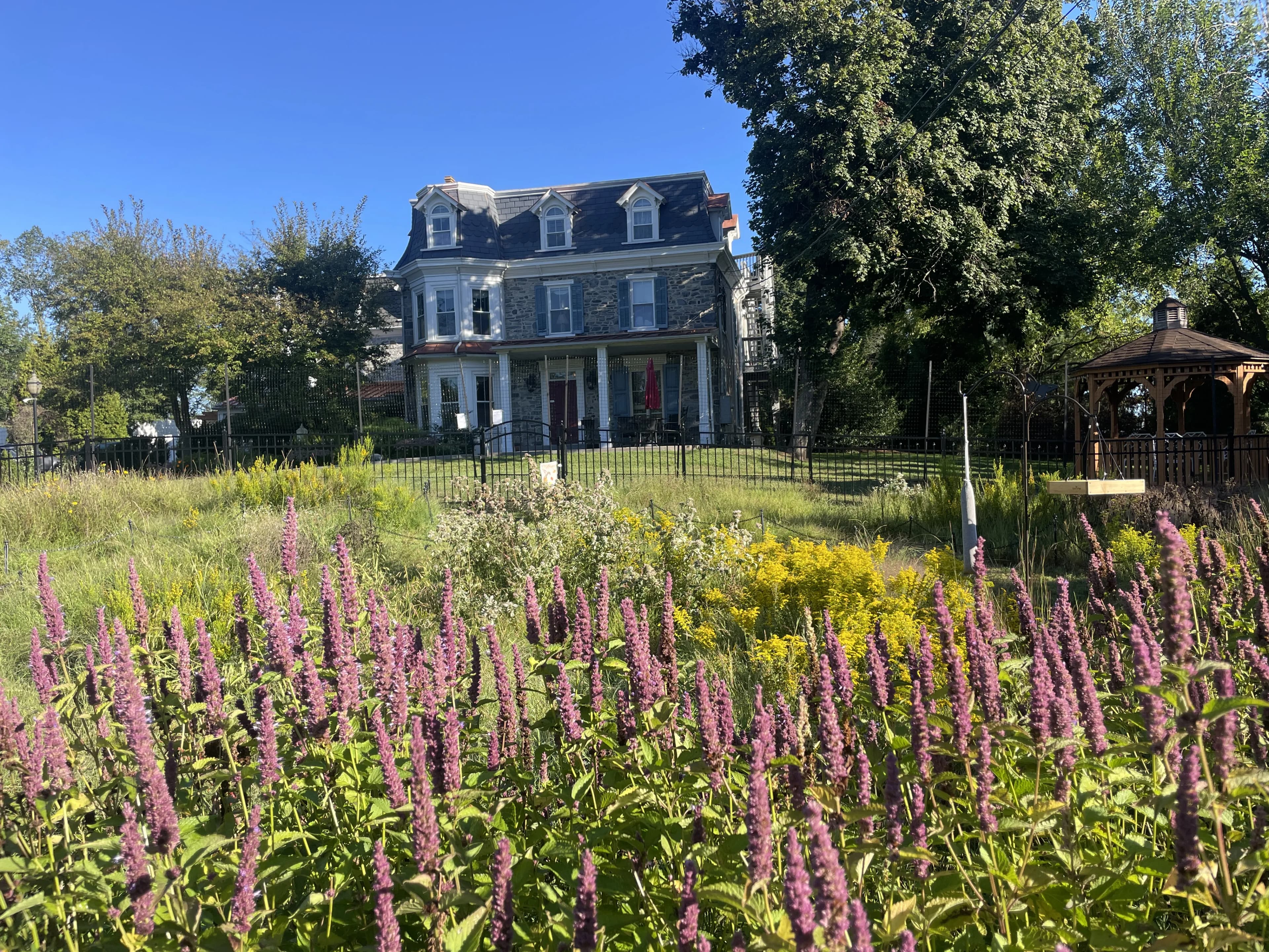 A historic house surrounded by vibrant purple and yellow flowers under a clear blue sky.
