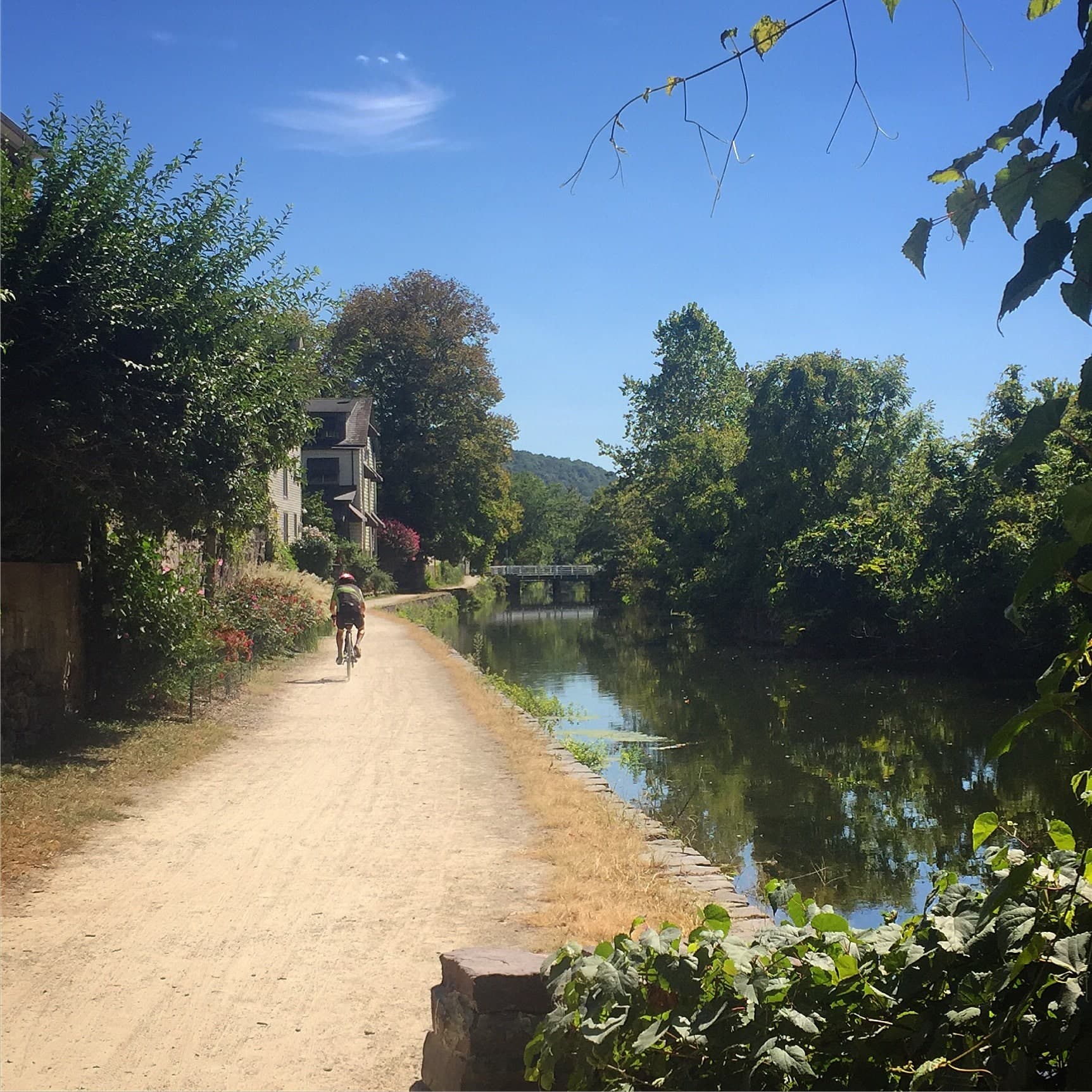 A cyclist rides along a dirt path beside a calm canal, with trees and buildings lining the scenery under a clear blue sky.